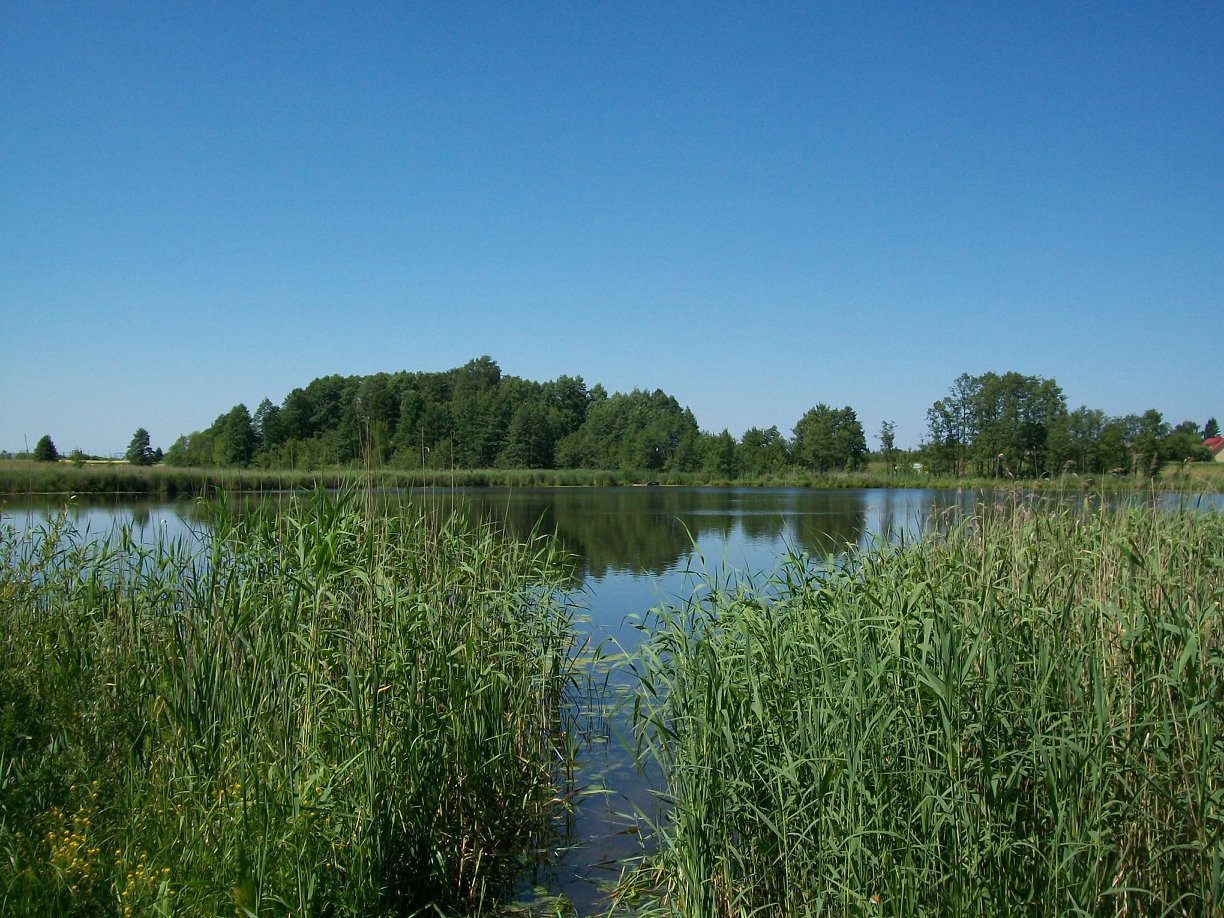 Łowisko Jezioro Bogusze